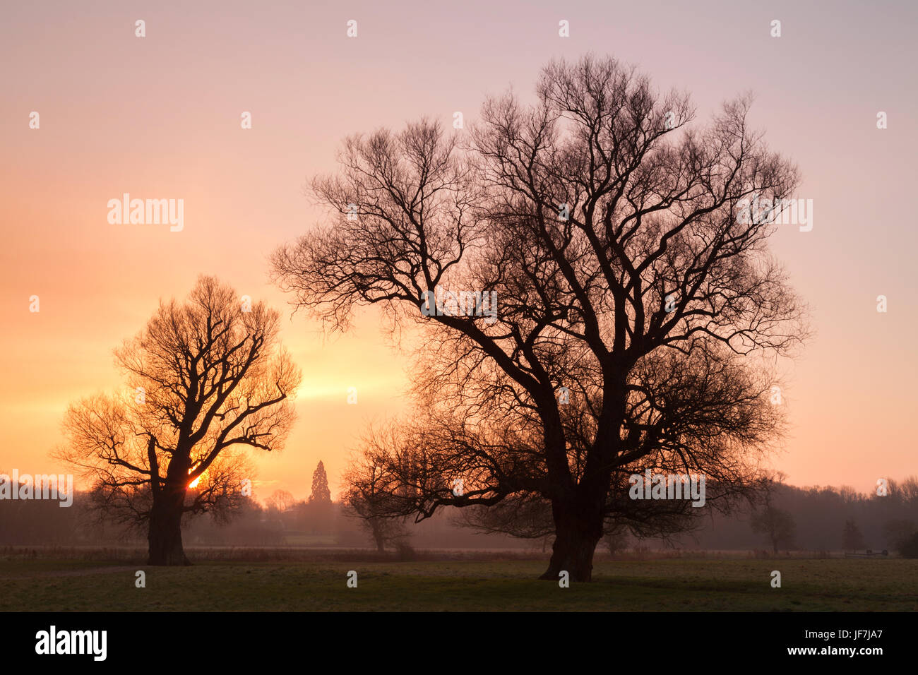 Grantchester Meadows sunrise, Cambridge, UK Stock Photo