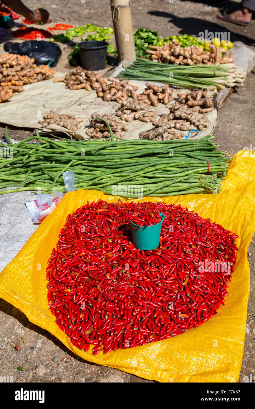 A plethora of Chili's, long green beans, ginger, onions and limes for