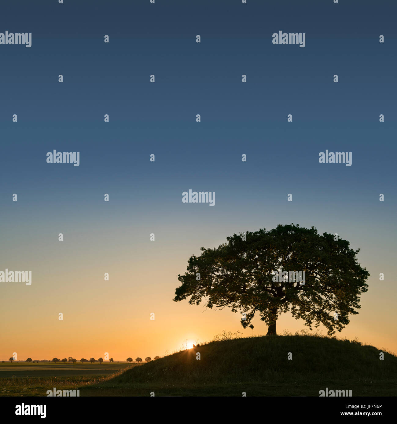 Oak tree sunrise silhouette hi-res stock photography and images - Alamy