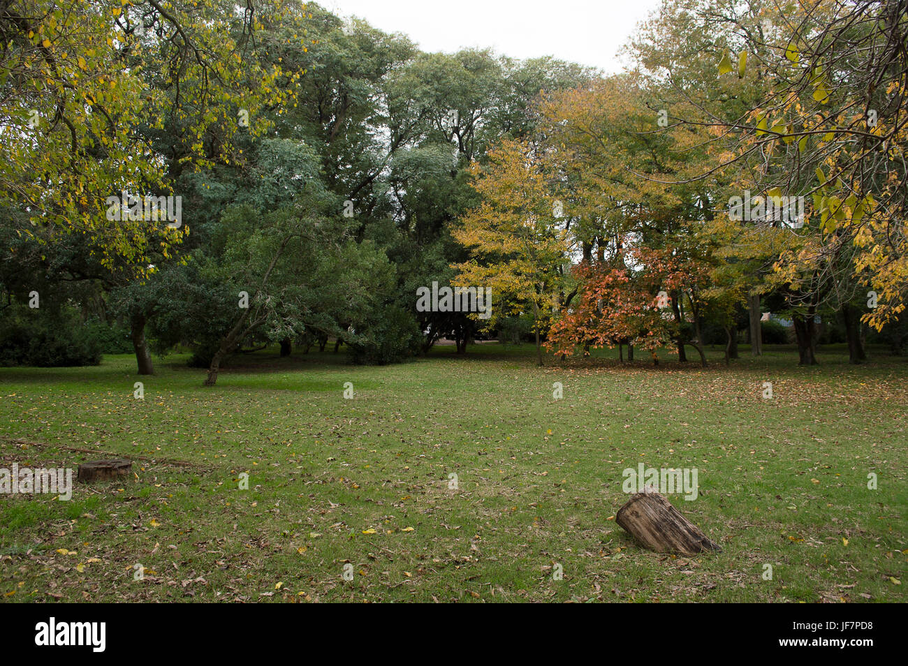 botanical garden in autumn time in the city of Montevideo in Uruguay Stock Photo
