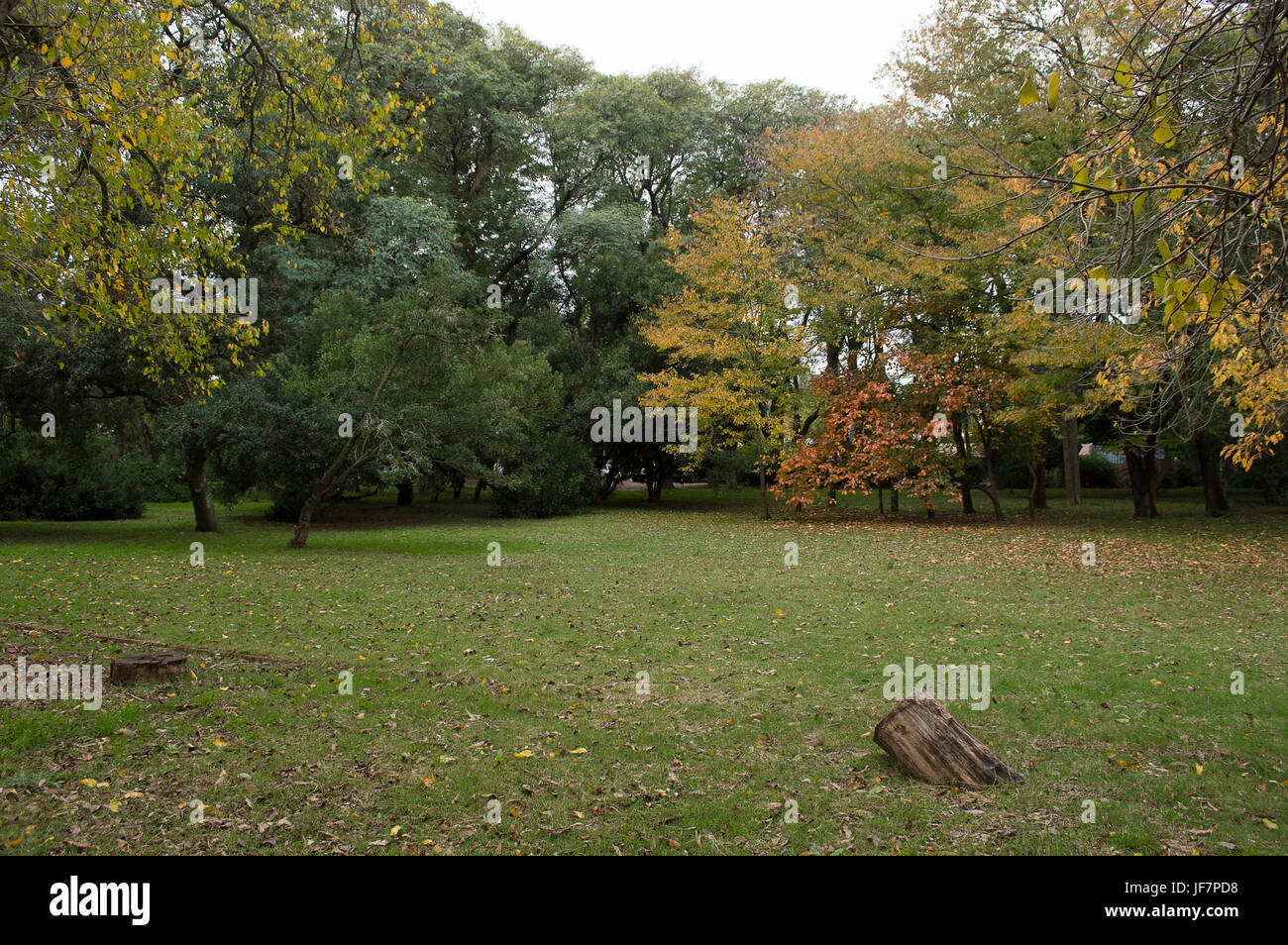 Plantas de uruguay hi-res stock photography and images - Alamy