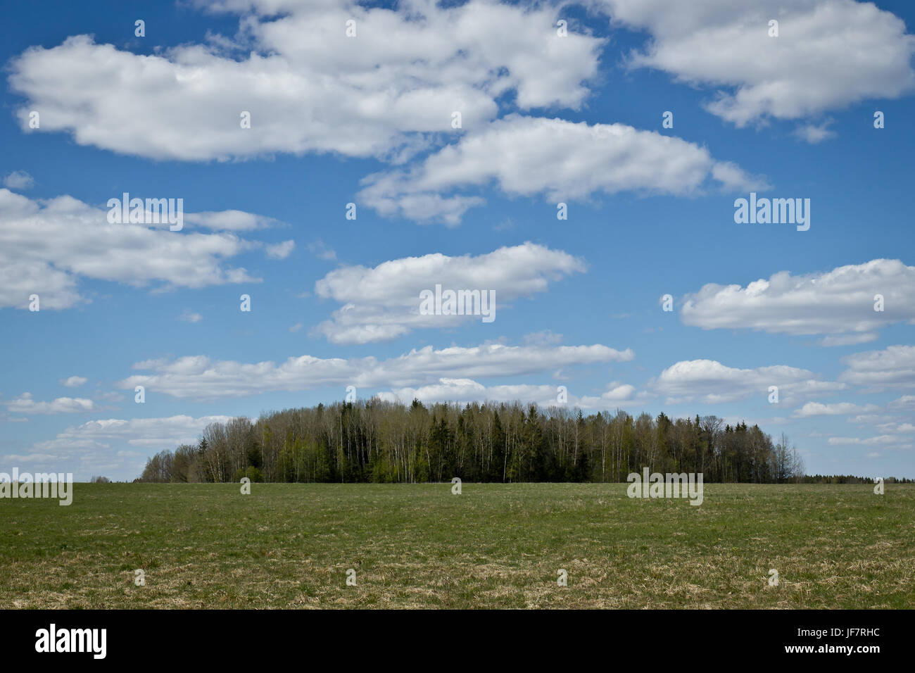 Early spring in Latvia Stock Photo
