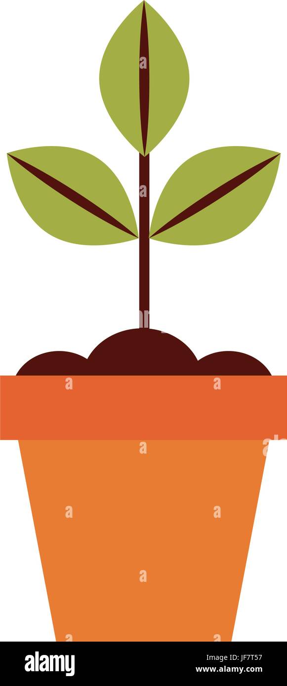 Cultivated plant in pot Stock Vector Image & Art - Alamy