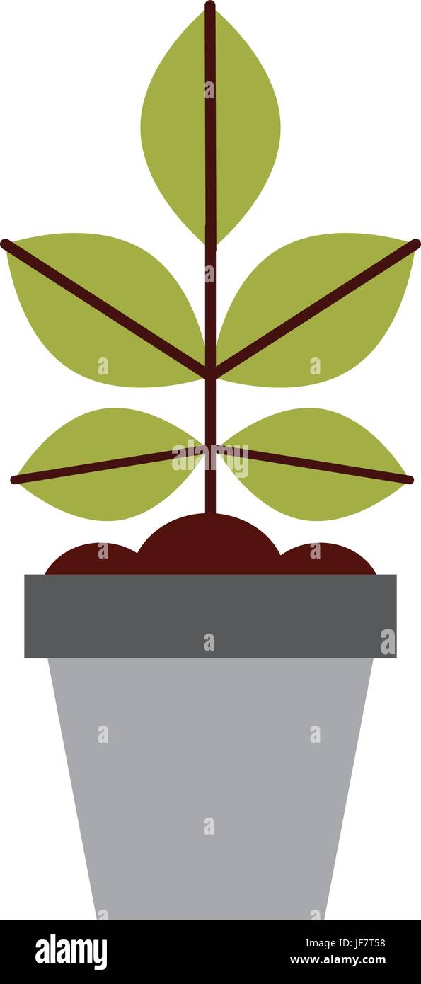 Cultivated plant in pot Stock Vector Image & Art - Alamy
