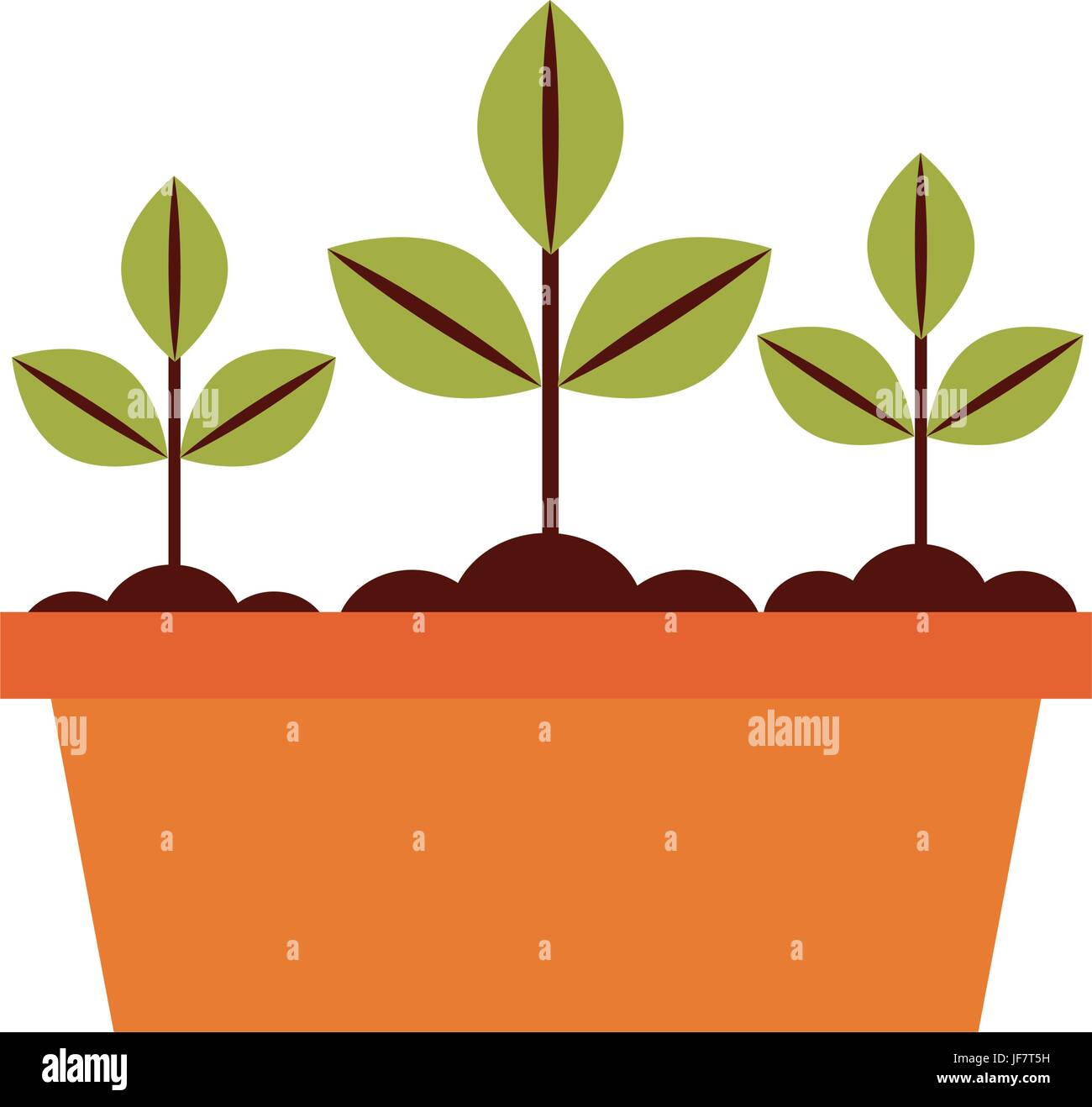 Cultivated plant in pot Stock Vector Image & Art - Alamy