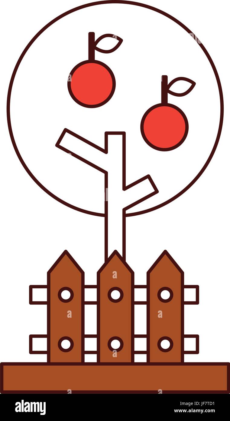 apple tree isolated icon Stock Vector Image & Art - Alamy