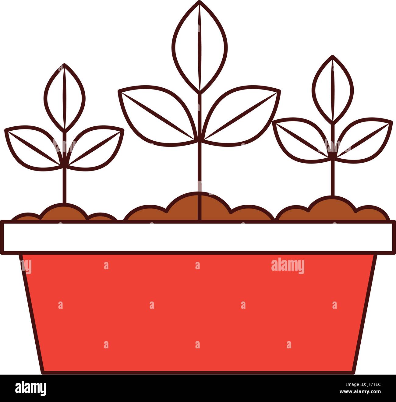 Cultivated plant in pot Stock Vector Image & Art - Alamy