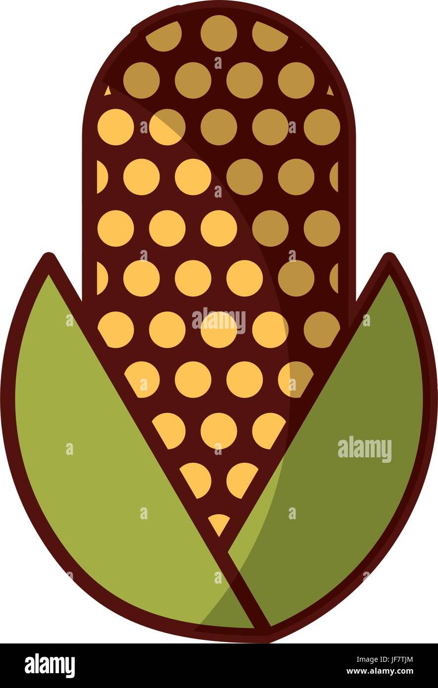 corn vegetable isolated icon Stock Vector Image & Art - Alamy