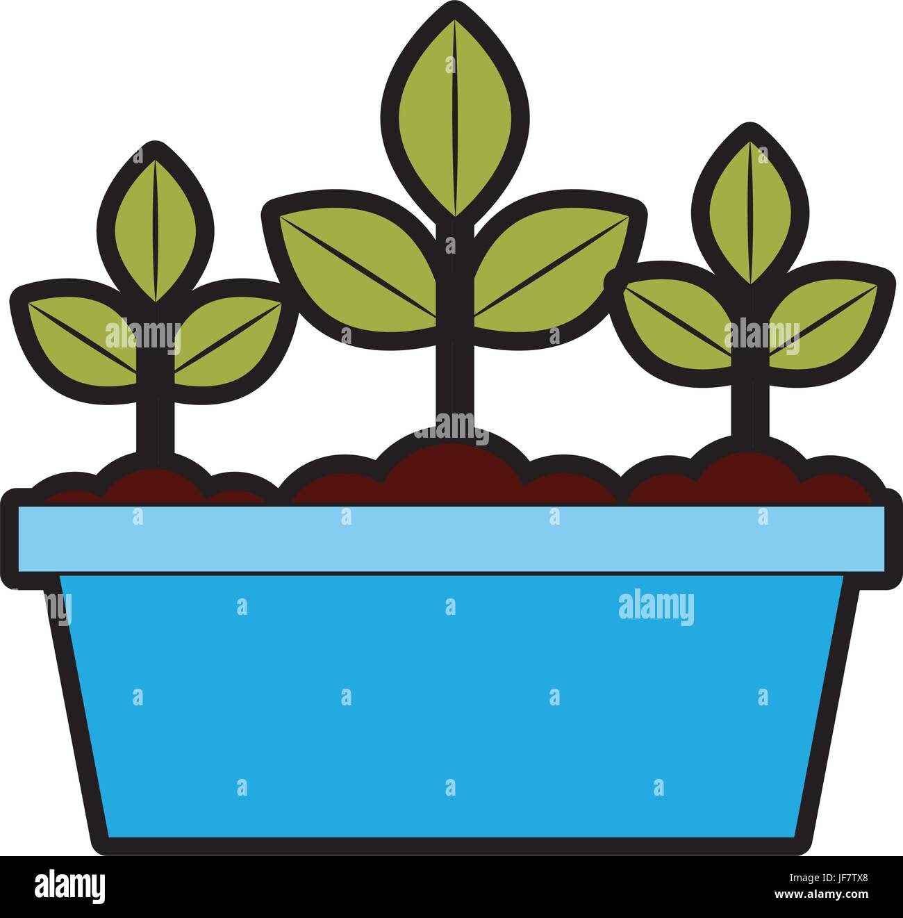 Cultivated plant in pot Stock Vector Image & Art - Alamy
