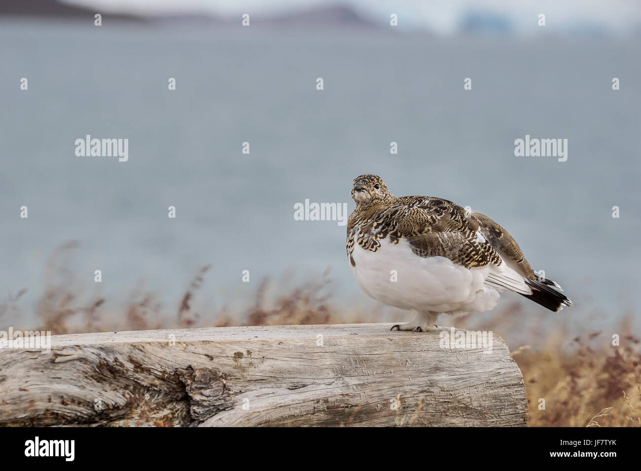 Xola va jiyan jinsiy aloqada bolishdi etuk lezbiyenler külot ishqalab