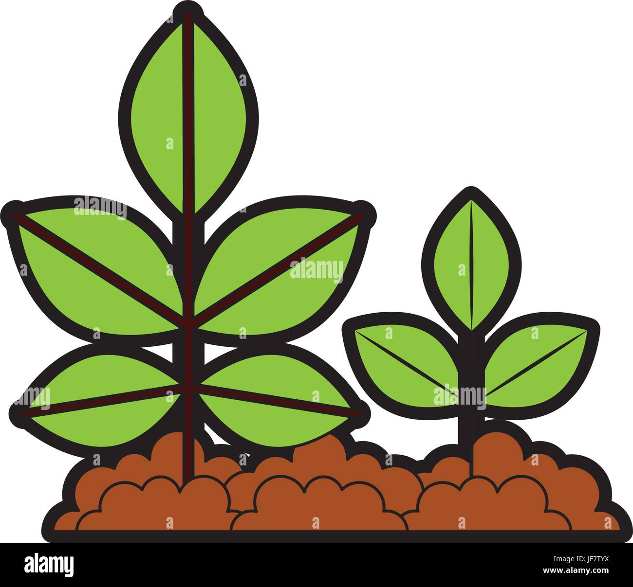 Step cultivation Stock Vector Images - Alamy
