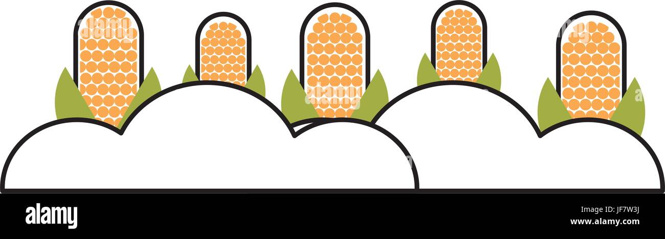 corn cultivation isolated icon Stock Vector Image & Art - Alamy