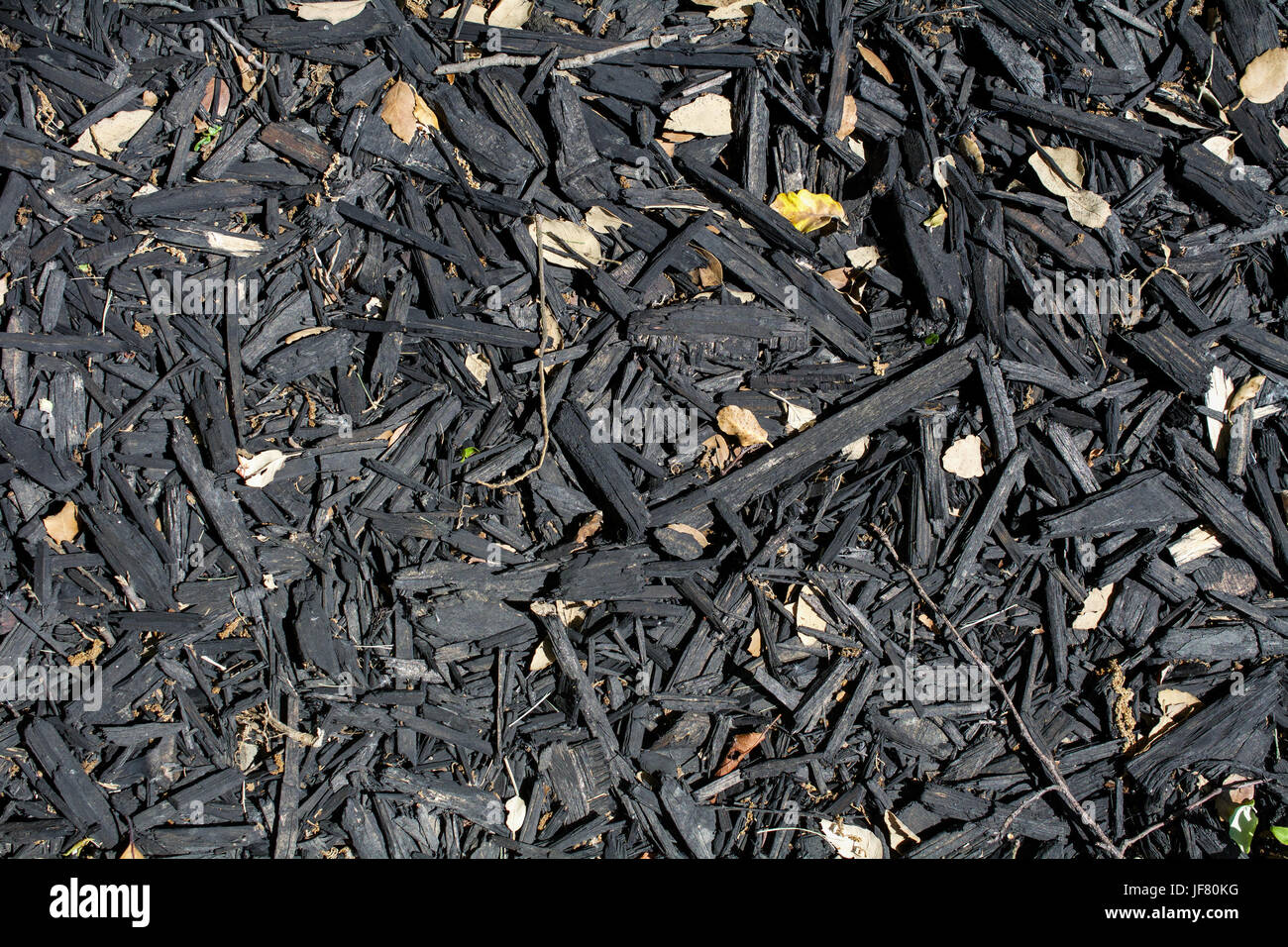 Black, burnt wood chip mulch texture or background. Mulch keeps soil