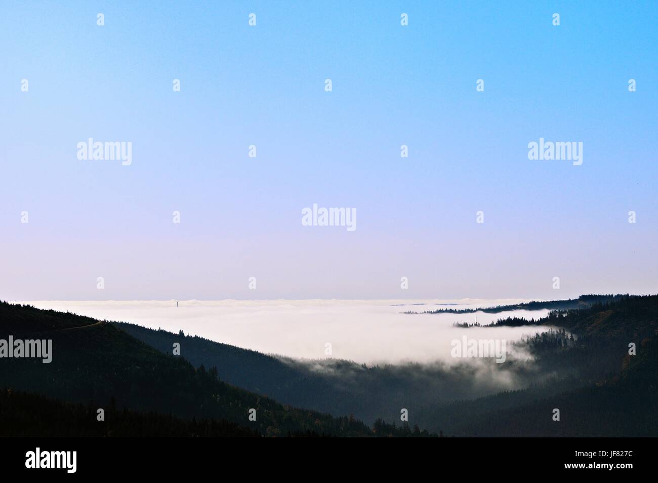 Fog in the Black Forest Germany Stock Photo