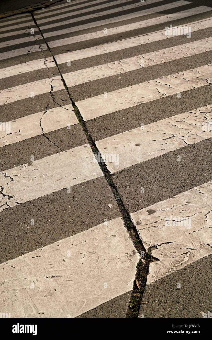 zebra crossing in the city center of Prague Stock Photo