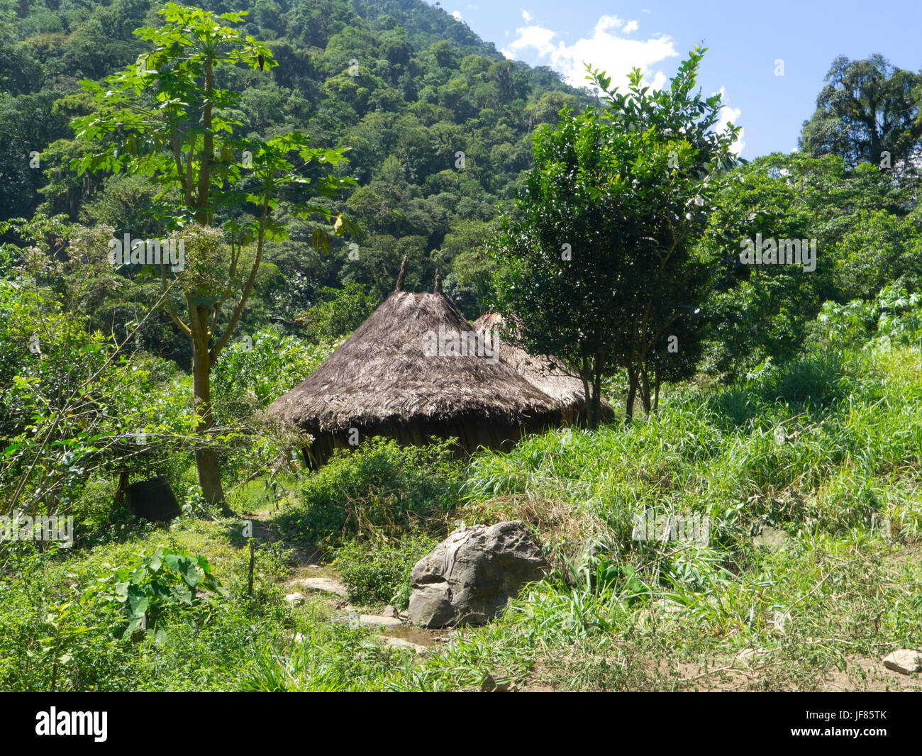 The trek to the Lost City, Sierra Nevada, Colombia, indigenous Kogi huts Stock Photo