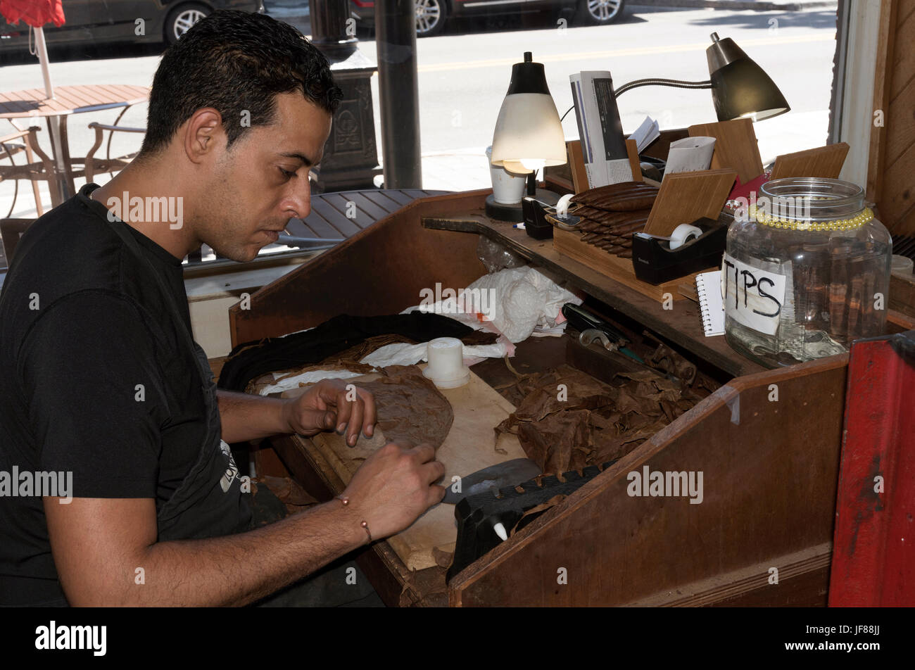 Male worker handcrafting a premium cigar from the finest leaves in Ybor City Tampa Florida USA. Circa 2017 Stock Photo