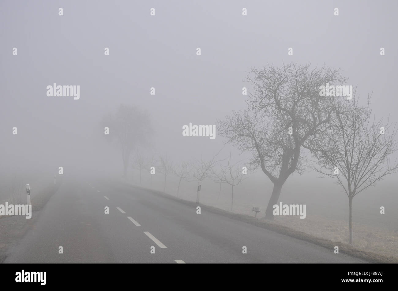 Dangerous fog during car trip, germany Stock Photo