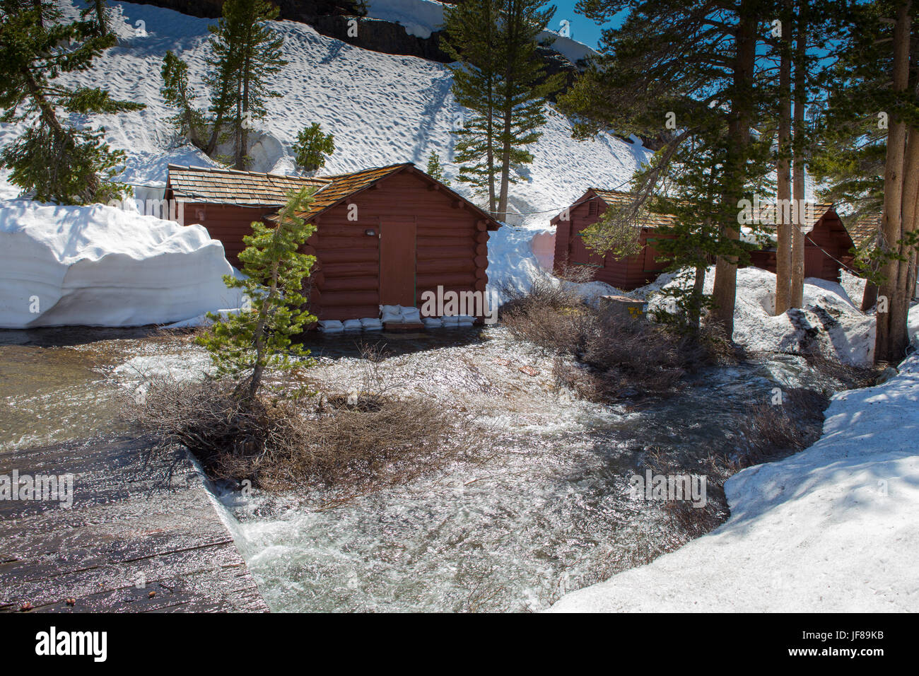 Wood Cabins At The Tioga Pass Resort High In The Sierra Nevada