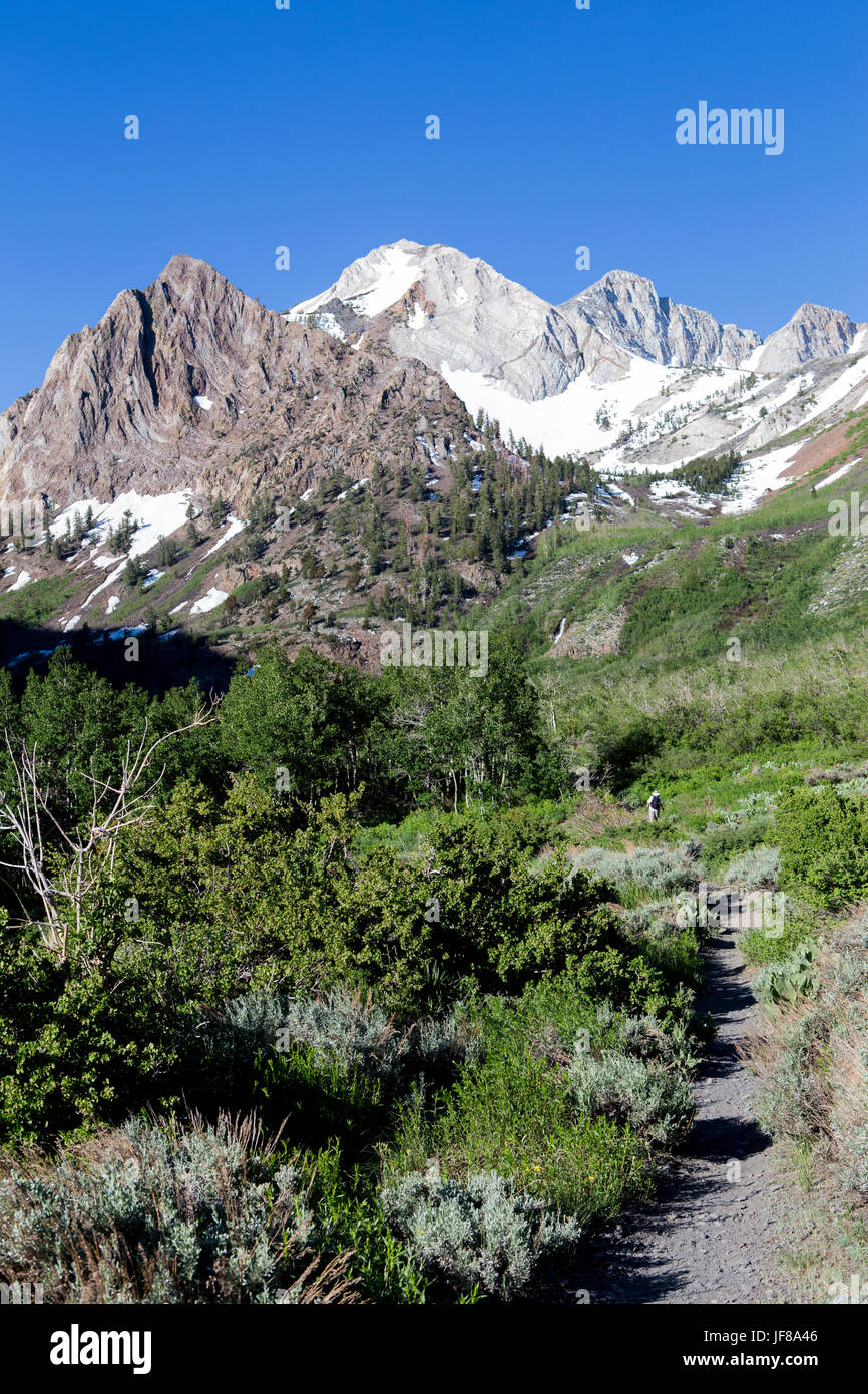 the trail up through McGee creek canyon  in the eastern Sierra Nevada mountains California Stock Photo