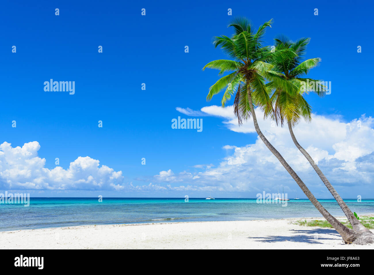 Paradise tropical hi-res stock photography and images - Alamy