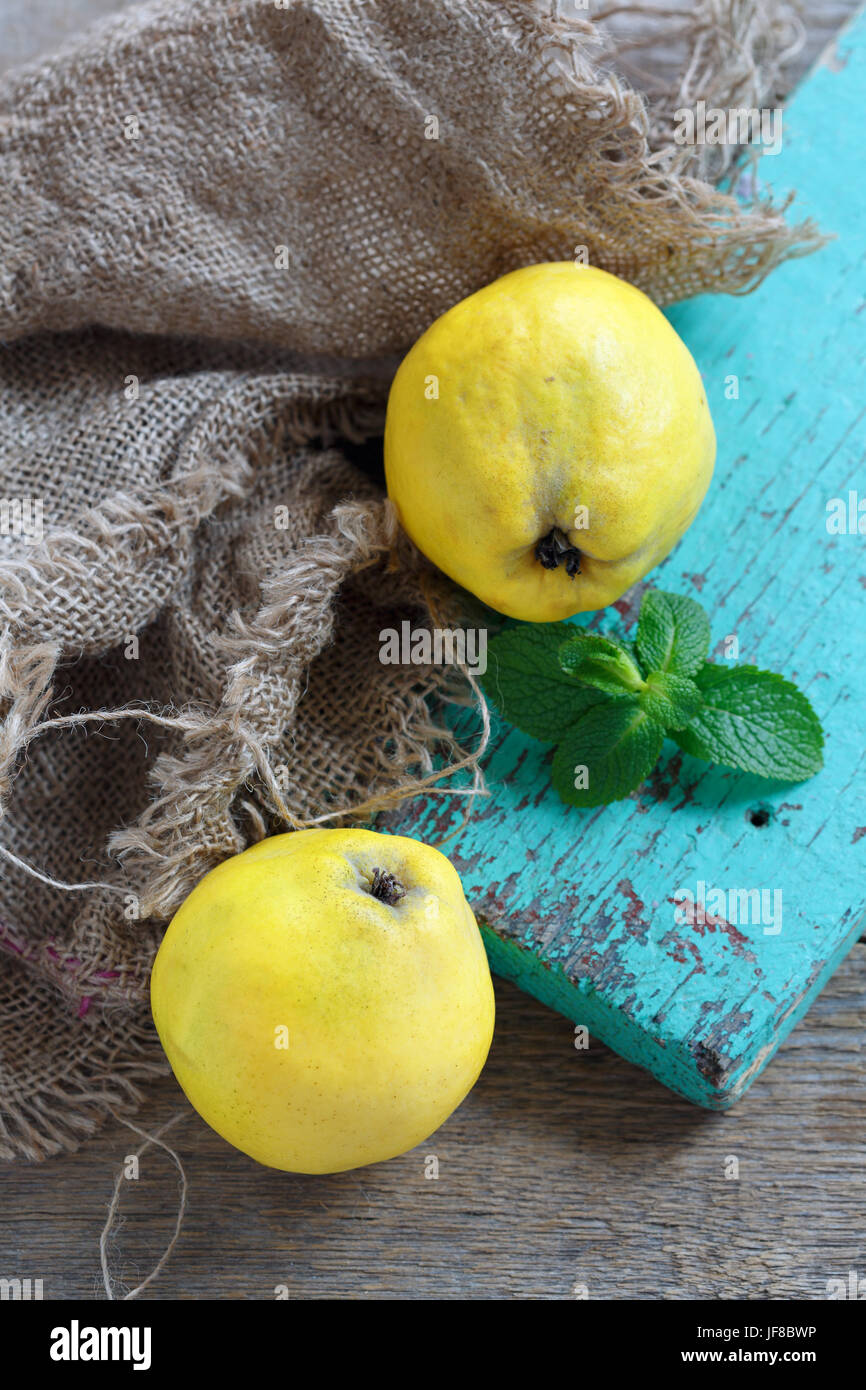Quince and a sprig of mint. Stock Photo
