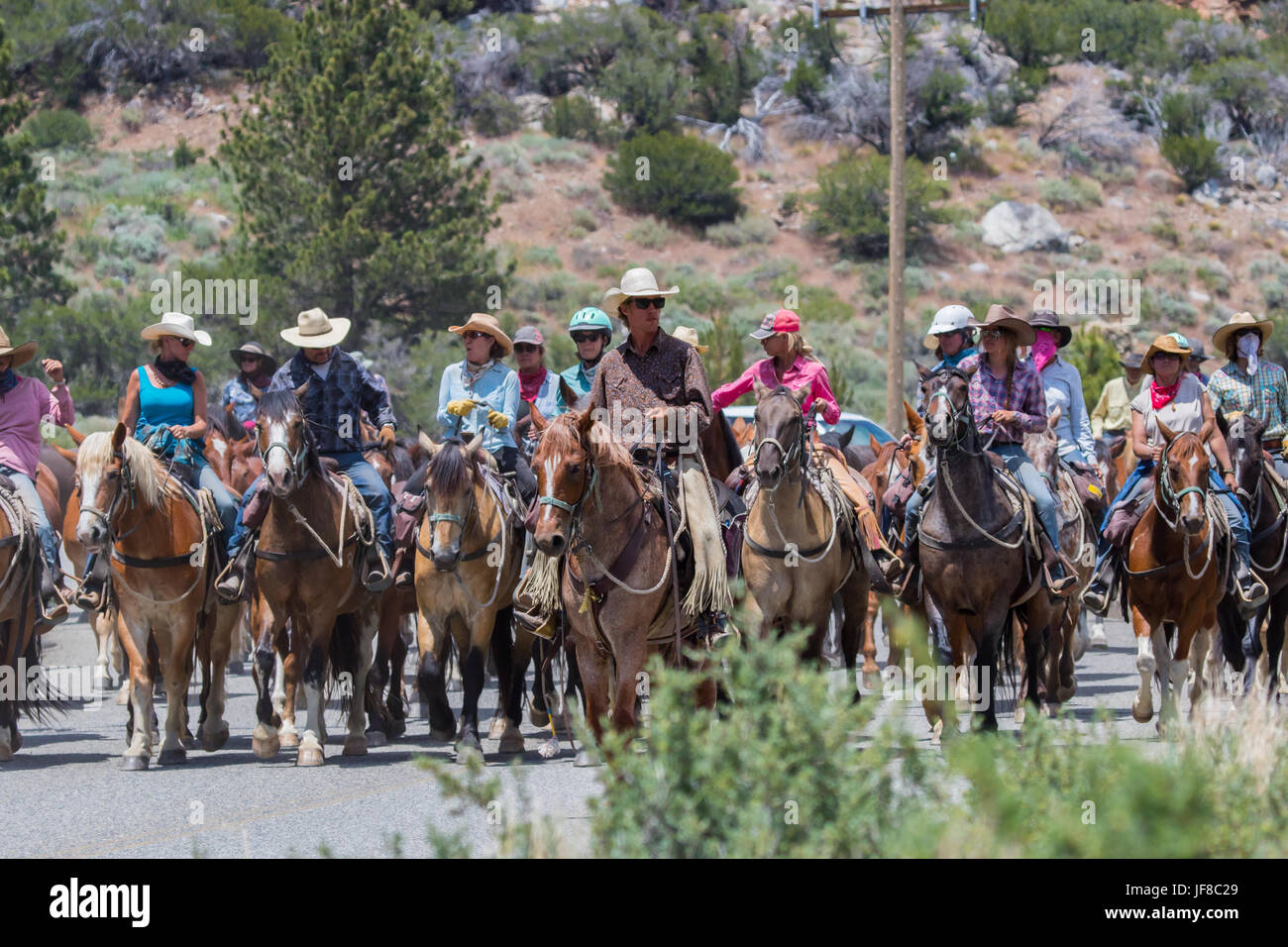 Cowboys cowgirls and wranglers of frontier pack train herd their horses
