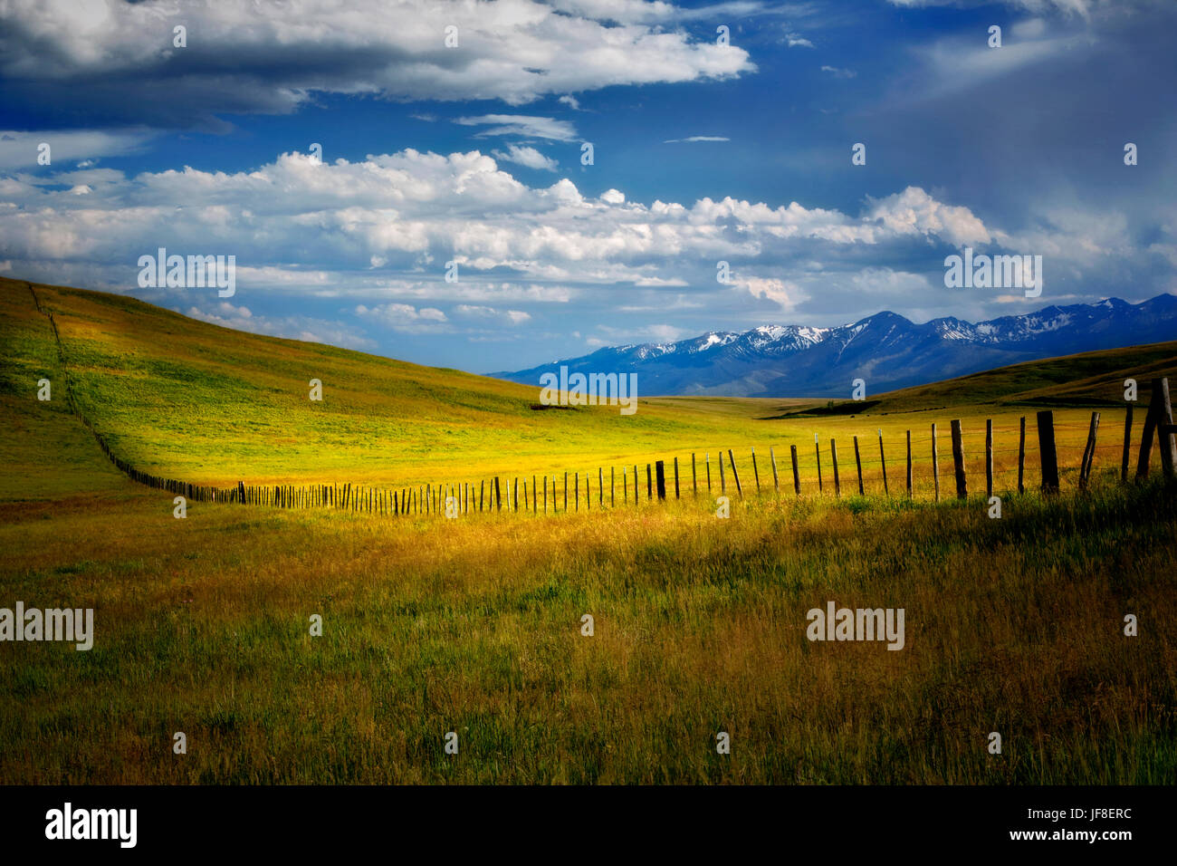 Pasture in Zumwalt Prairie with fence and Wallowa Mountains, Oregon Stock Photo