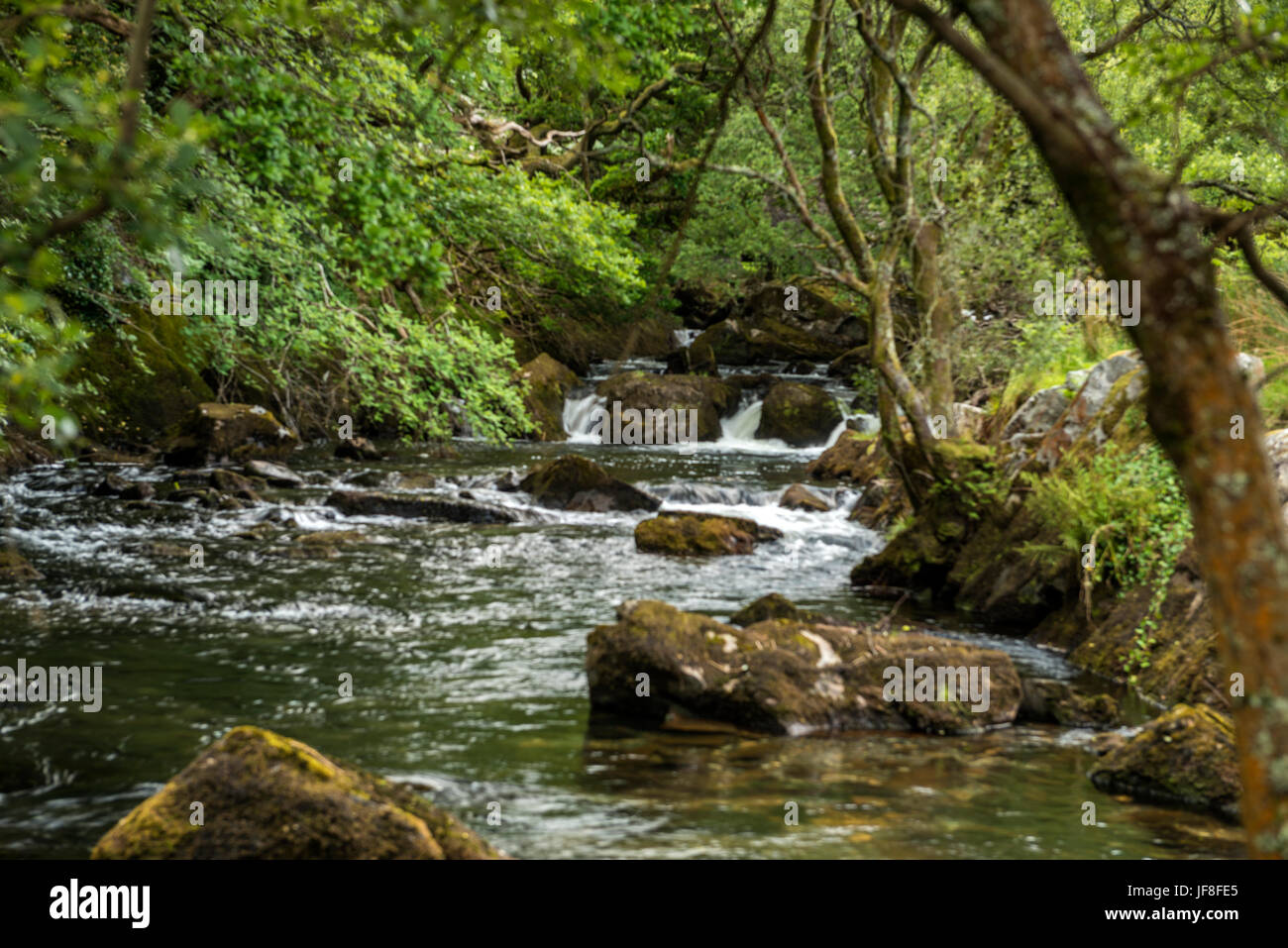 Great British Rivers and Waterfalls - depicting Afon Ogwen or Ogwen ...