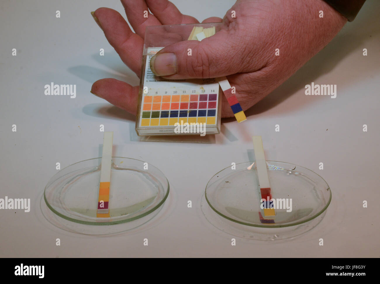 Universal indicator strips for pH value are shown in use on an alcaline