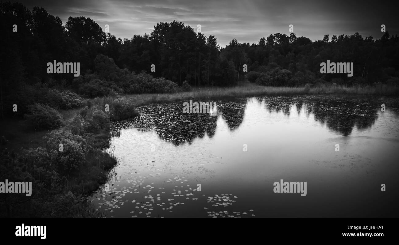 Still lake black and white landscape at night. cloudy sky and dark trees silhouettes reflected in water. Ladoga, Russia Stock Photo