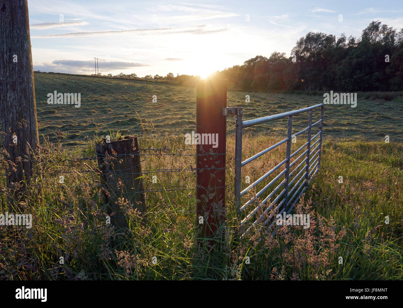 Open Metal Gate to a Field at sundown dusk in northern ireland Stock Photo
