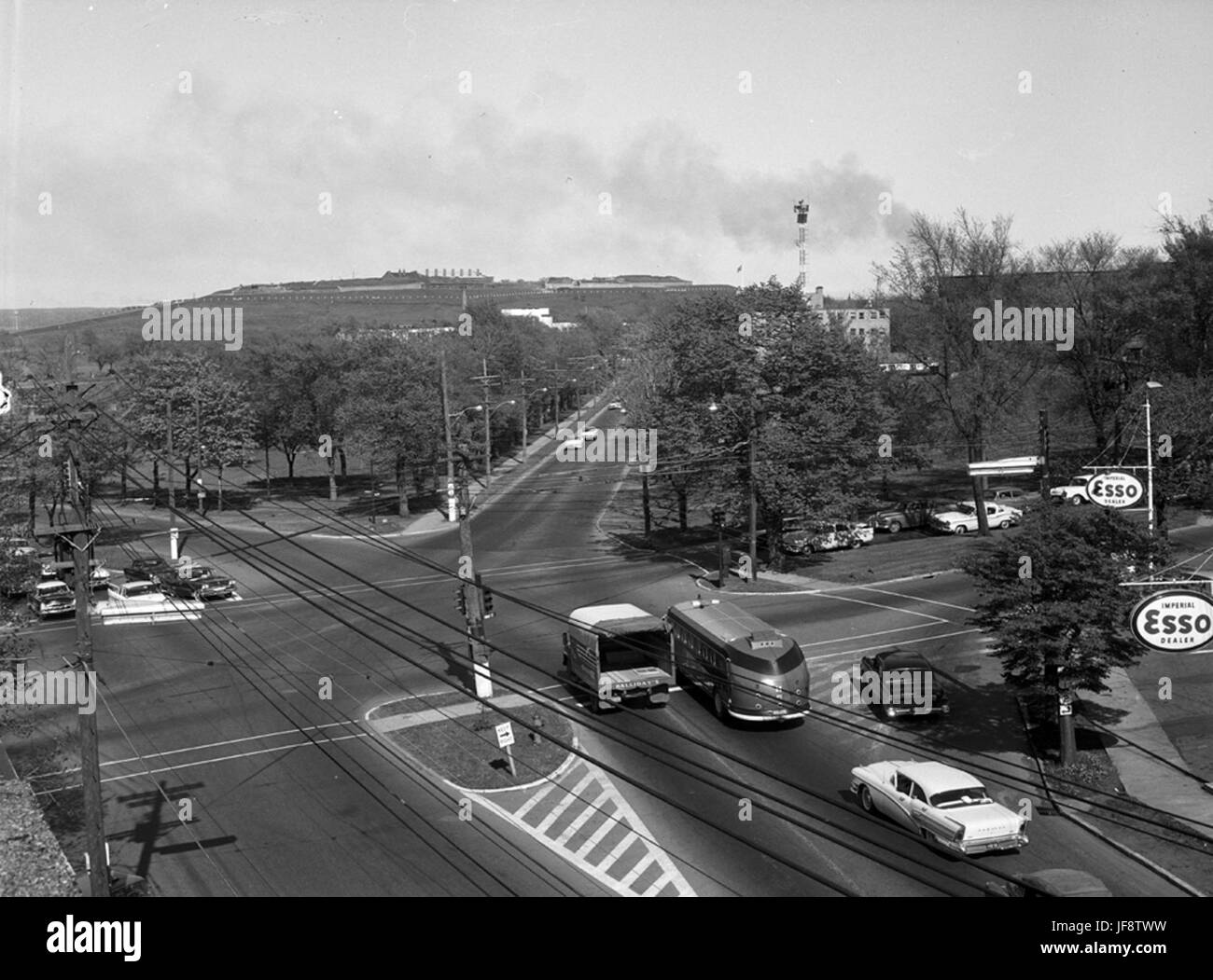 The Willow Tree 32875009274 o Stock Photo Alamy