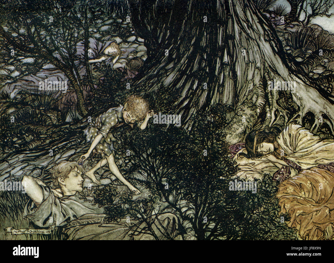 A Midsummer Night's Dream. Illustration by Arthur Rackham (1867 - 1939) to the play by William Shakespeare. Act 3 scene 2, Lysander, Demetrius, Hermia and Helena sleep and Puck squeezes the flower juice on Lysander's eyes: 'On the ground / Sleep sound: / I'll apply / To your eye, / Gentle lover, remedy' English poet and playwright baptised 26 April 1564 – 23 April 1616. Stock Photo