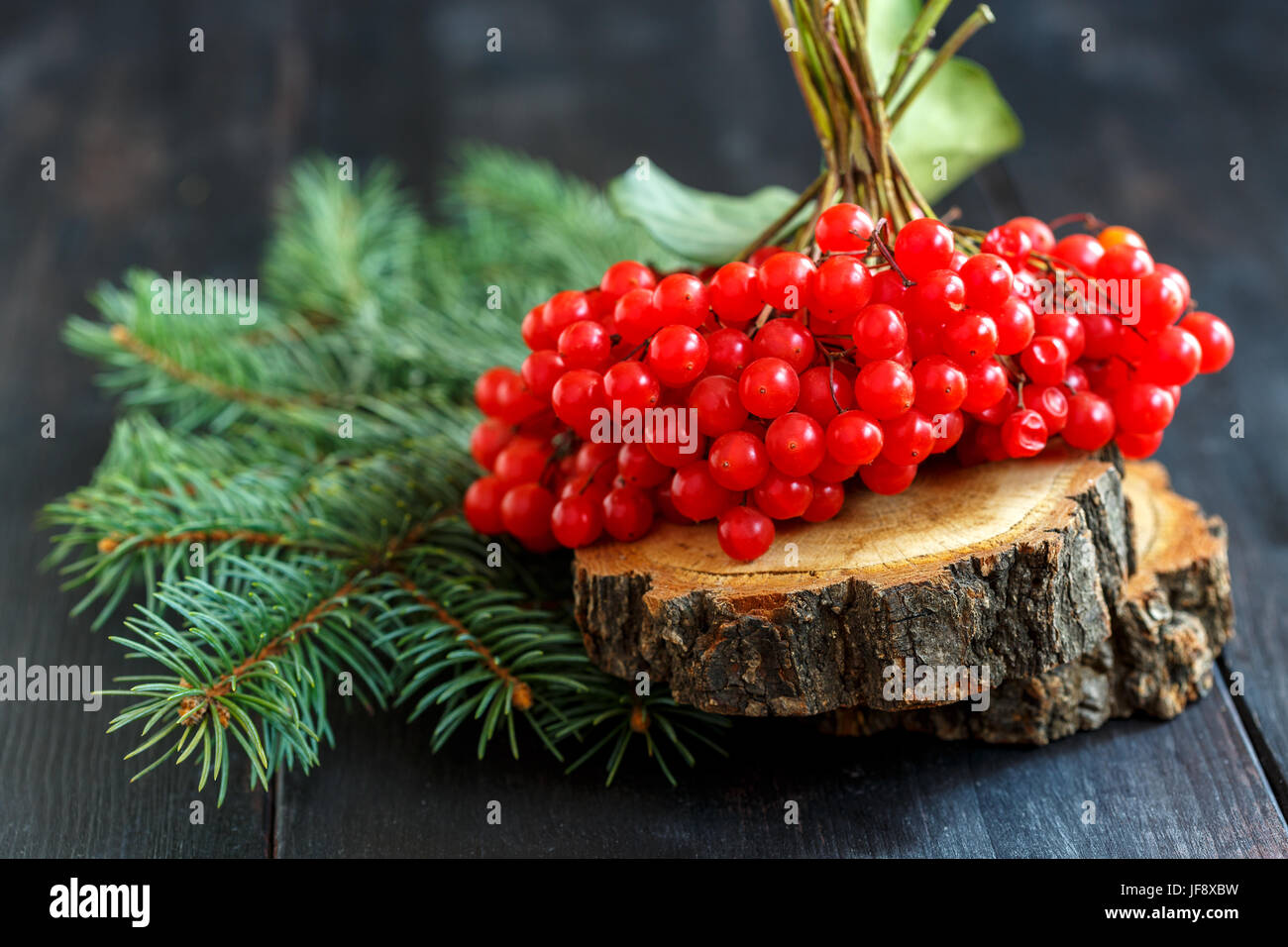Bunch of viburnum and fir branch. Stock Photo