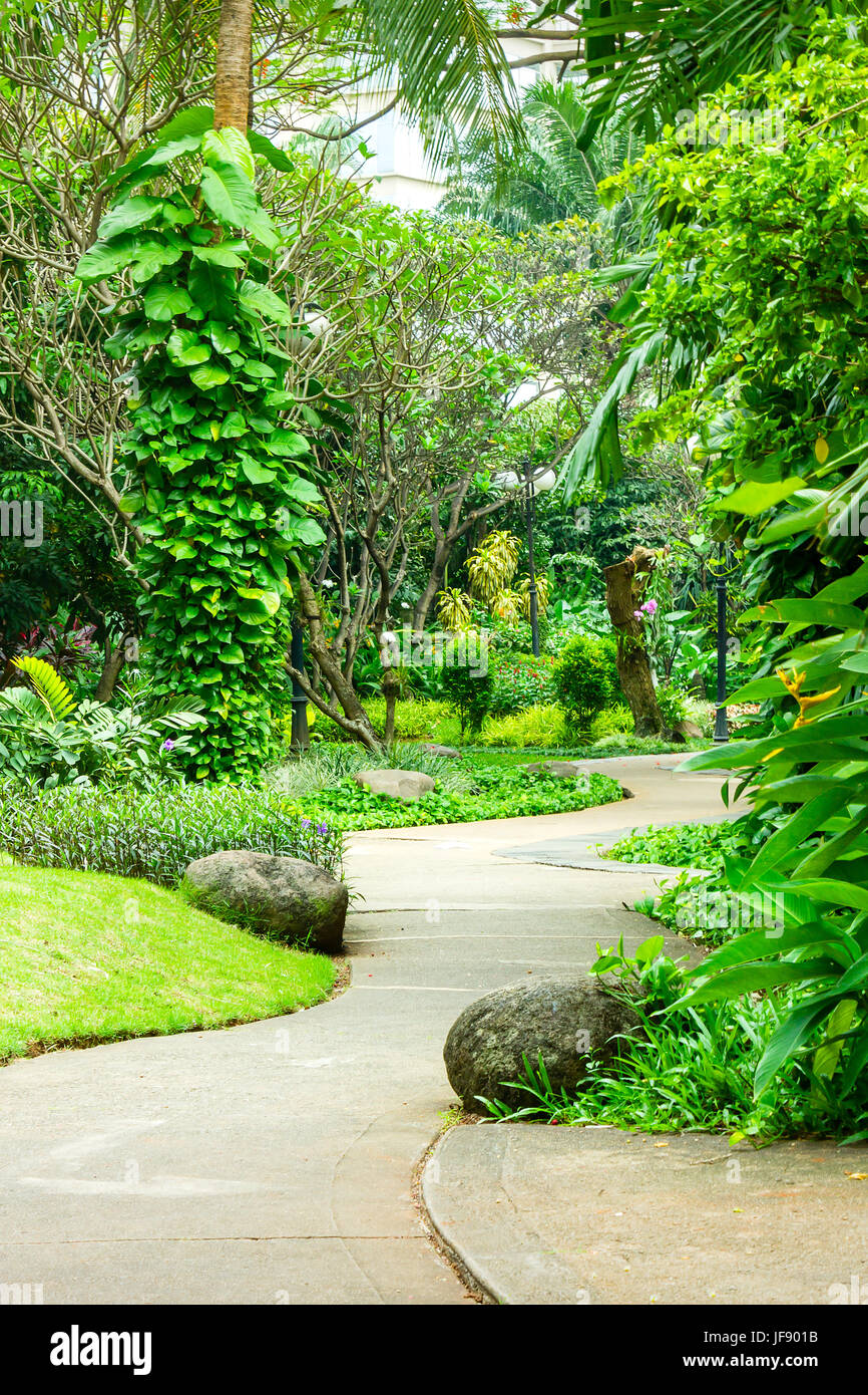 Beautiful green park with concrete winding path for pedestrians. The park is full of various tropical plants from the high trees to the low grass. Stock Photo
