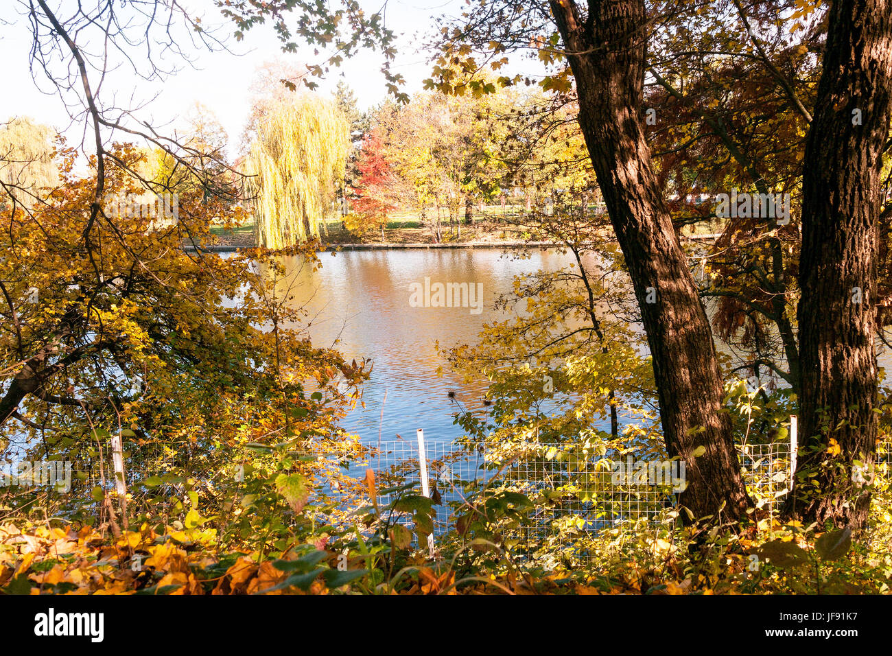 Autumn View through the trees cross the lake in the outdoor Village Museum Muzeul Satului in Herastrau Park, Bucharest Stock Photo