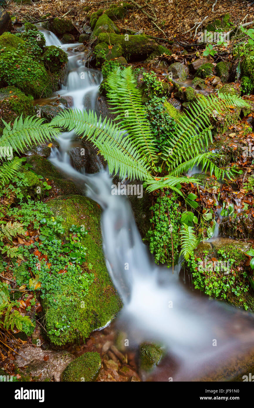 River source Stock Photo - Alamy