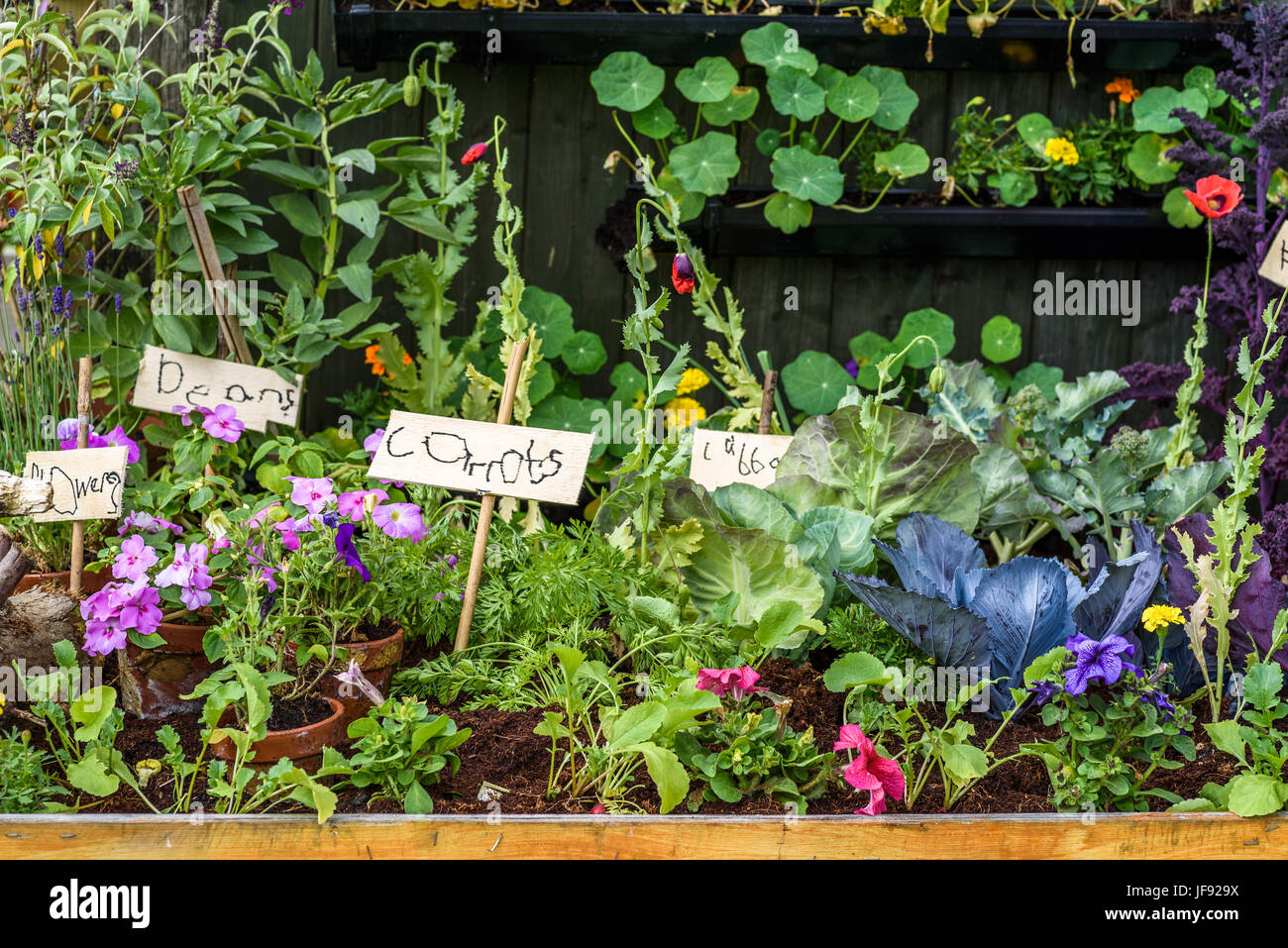 A small children's vegetable container garden with handwritten labels. Stock Photo