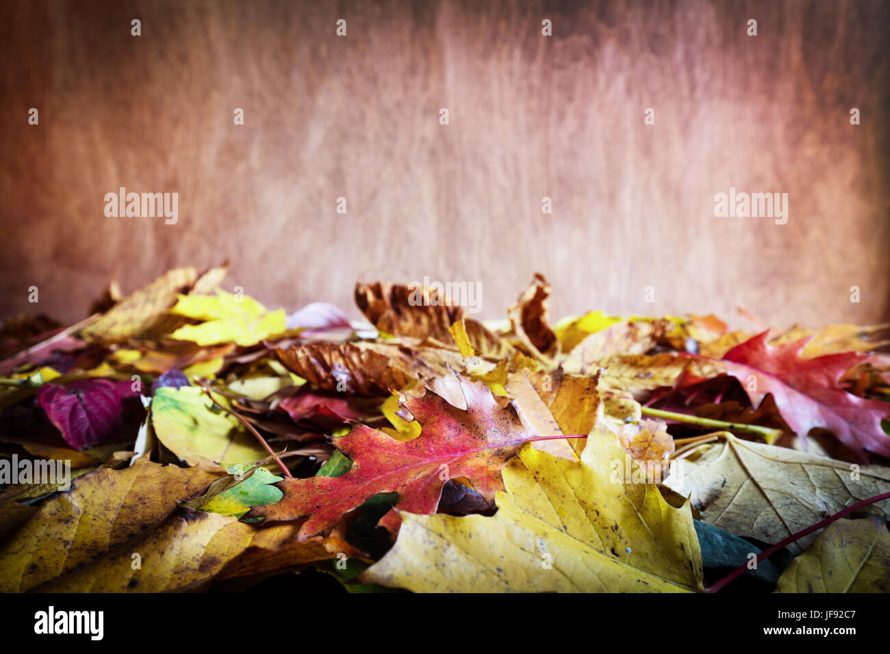 Leaves golden frame background hi-res stock photography and images - Alamy