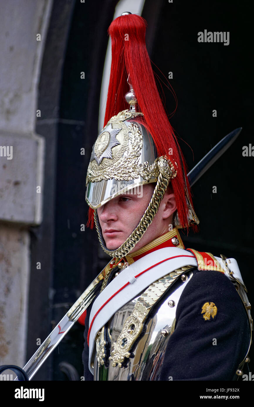 Soldiers from the Household Division (Blue & Royals) London Stock Photo ...