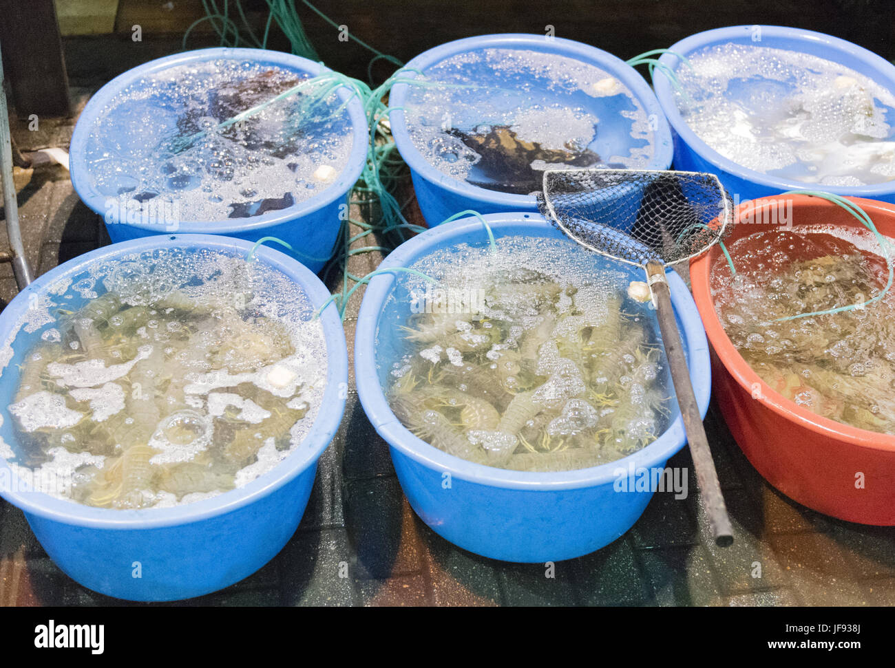 Fish market in downtown Hong Kong Stock Photo Alamy