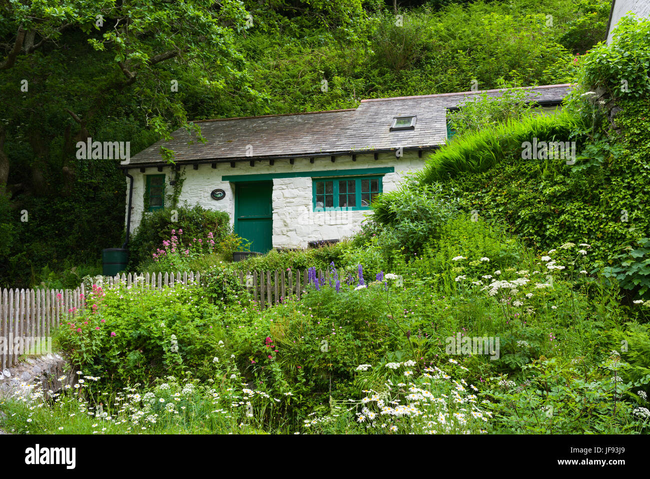 A cottage and garden in the coastal village of Buck's Mills on the North Devon Heritage Coast Stock Photo