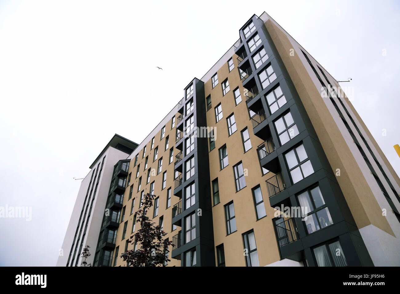 Residence kennedy hires stock photography and images Alamy