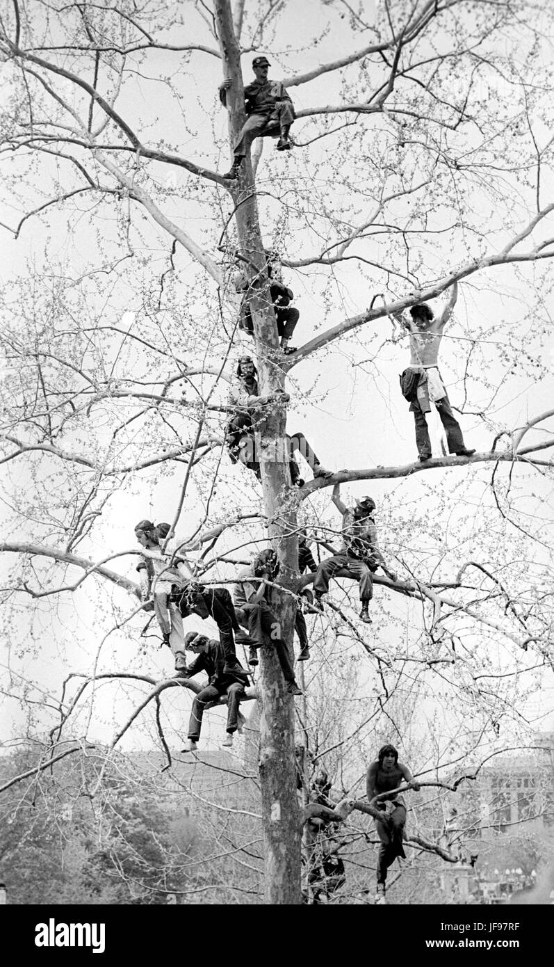 Lt. John Kerry speaks to antiwar protestors - here listening from a tree on the U.S. Capitol grounds during massive demonstrations against the Vietnam war on April 23, 1971. Stock Photo