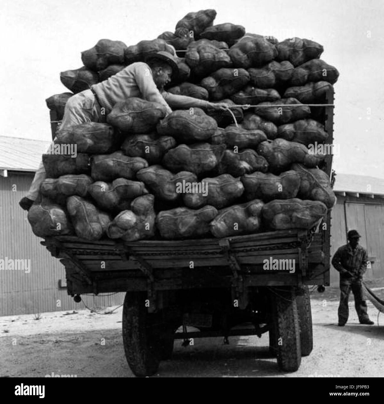 Truck loaded with cabbages - Hastings 34612134464 o Stock Photo