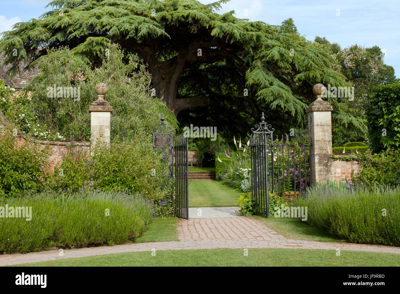 Iron gate open to colourful summer cottage garden with a big tree Stock ...