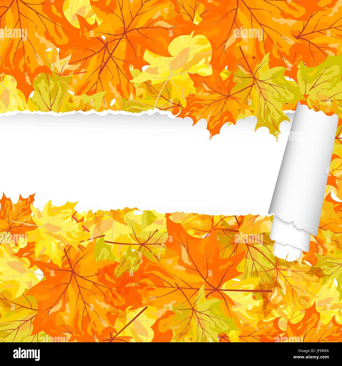 Ripped photo Stock Vector Images - Alamy