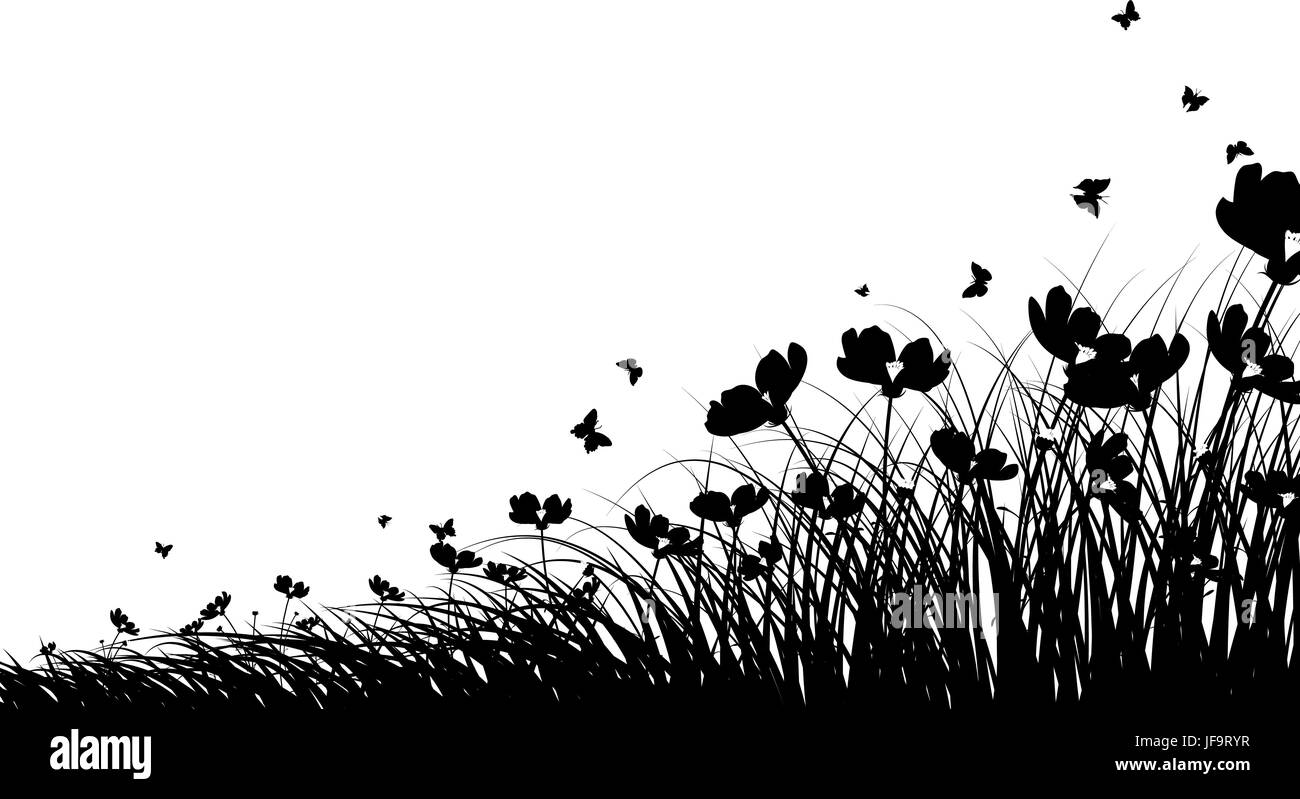 Meadow background Black and White Stock Photos & Images - Alamy
