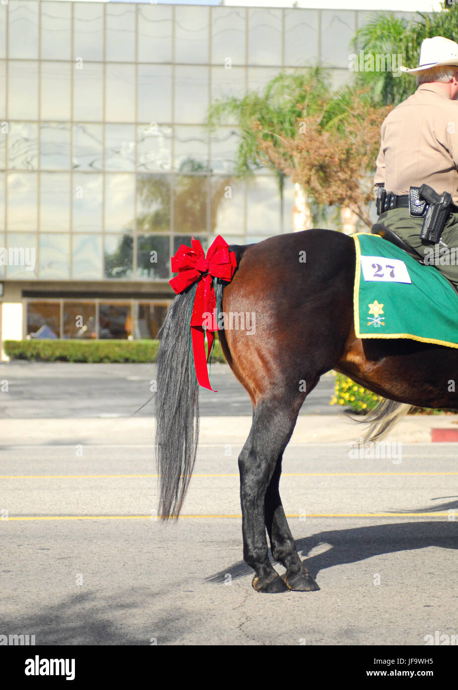 How Do Horses Bow: Mastering Equine Elegance